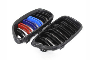BMW F22 F23 M2 F87 Carbon Fiber Front Grille (2)