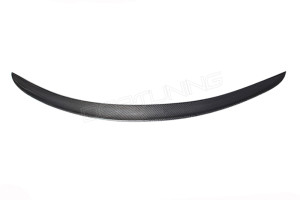BMW Z4 E89 Spoiler Carbon Fiber 2009 -2014 Z4 (1)